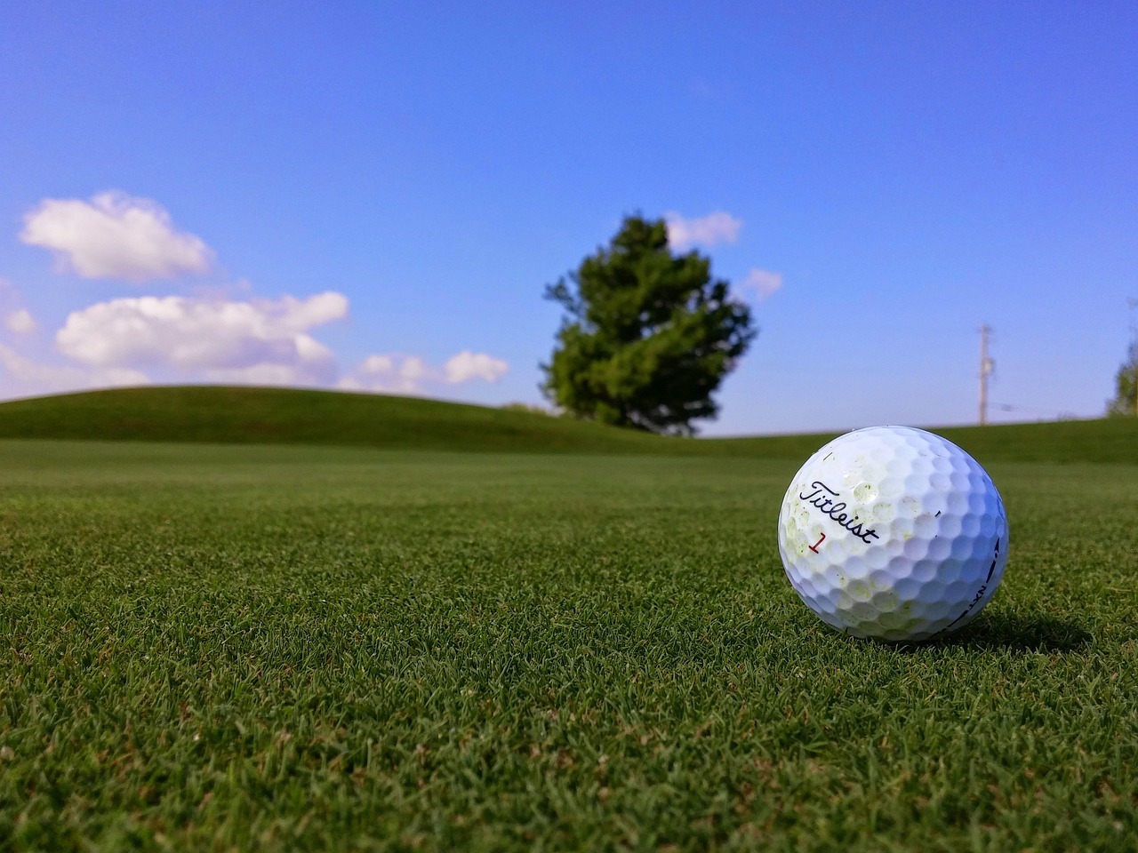 Titleist PRO V1x Golf Ball