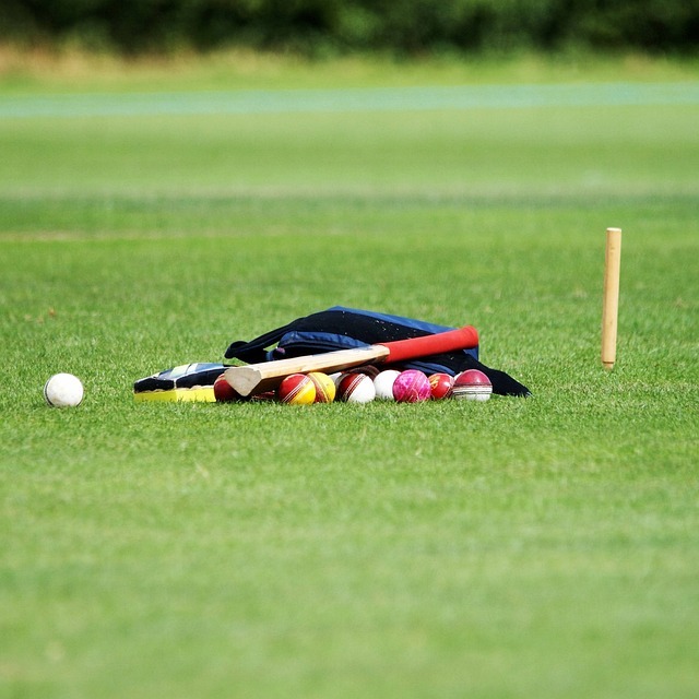 Cricket Super 8's